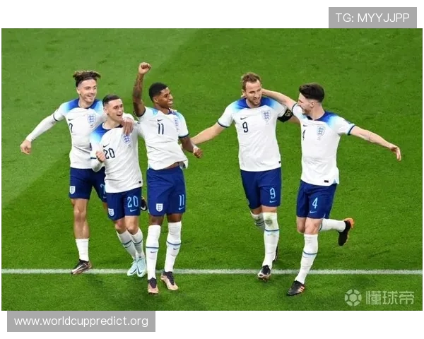 世界杯法国VS塞内加尔比赛中黄牌数对比赛结果的影响深度解析